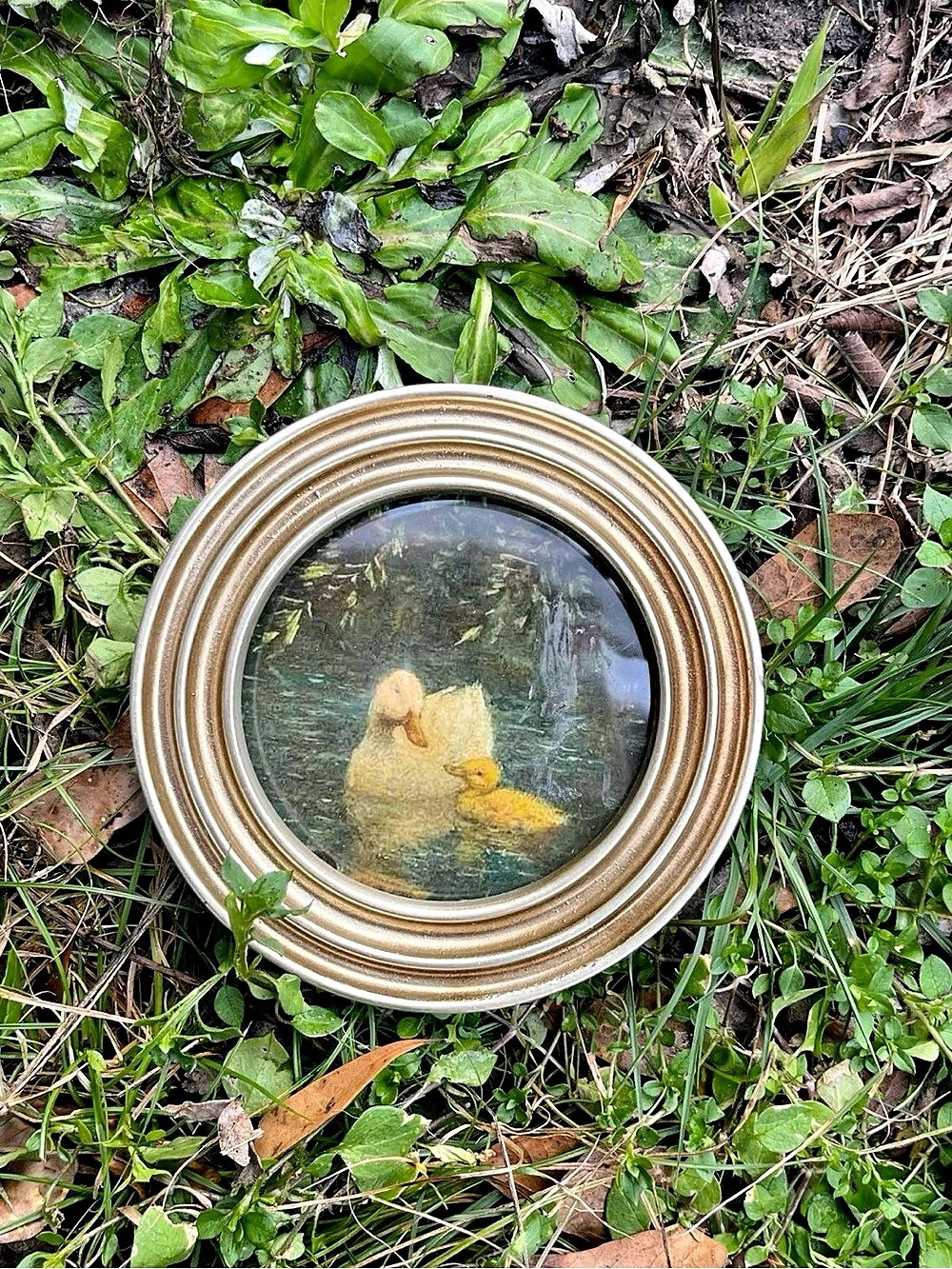 Vintage Round Duck & Duckling Framed Art